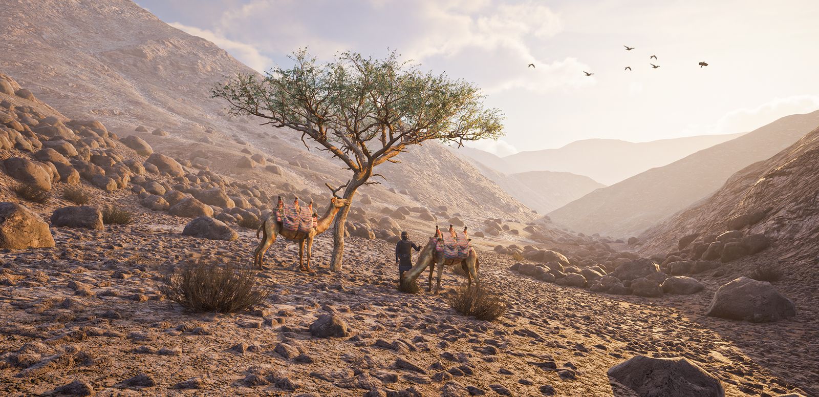 طريق الهجرة عبر الجبال